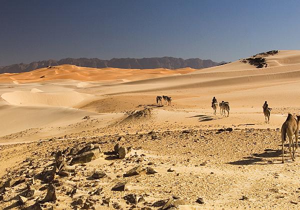 Le Sahara Le Sahara L'espace désert qui s'étend souvent autour de la ville porte mille noms en arabe. Celui qui a reçu le plus de...