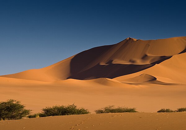 Climatologie Climatologie Le climat de la terre n'est qu'un état transitoire, un point mobile sur la courbe d'une évolution toujours...