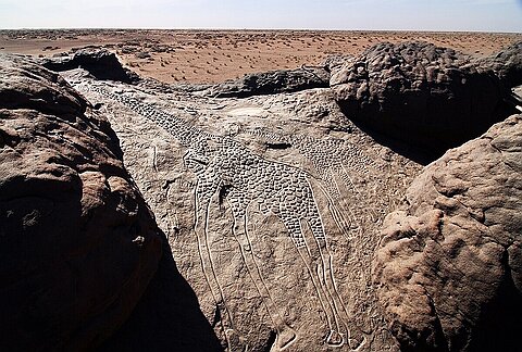 Gravures du sud de l'Aïr